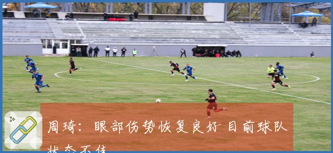 周琦：眼部伤势恢复良好 目前球队状态不佳